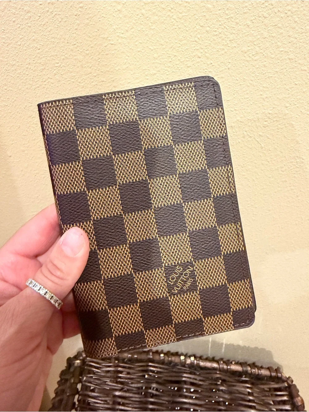 Brown Passport Wallet 🤎